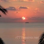 Avatar Emilia Barrera